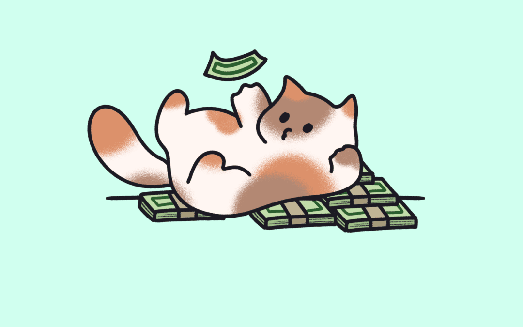 YNAB(app) for Personal Finances