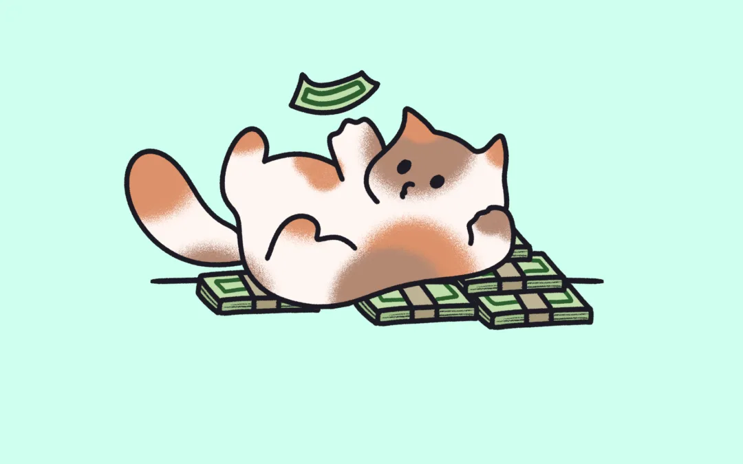 YNAB(app) for Personal Finances